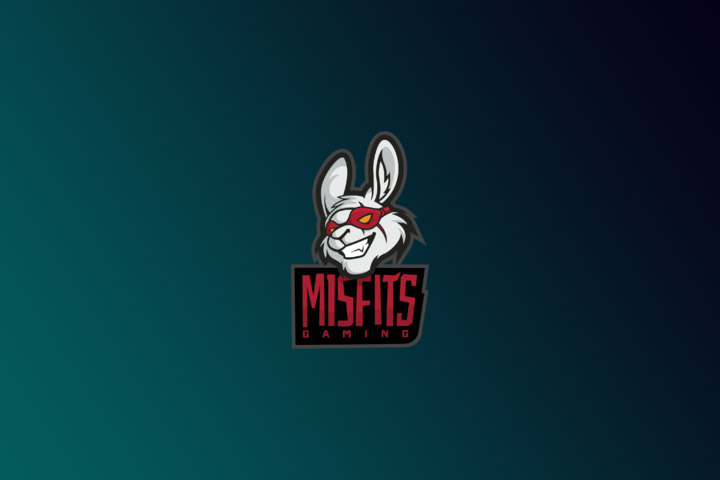 Fiche Joueur sOAZ - LEC 2019